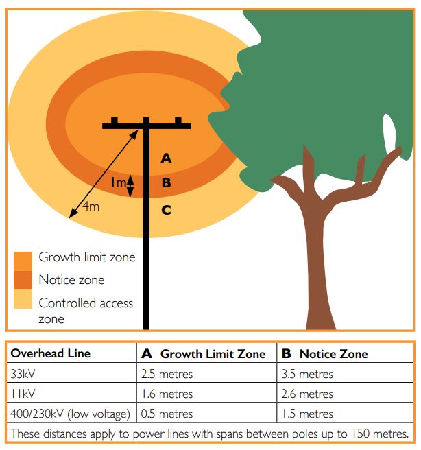 tree pruning cost calculator